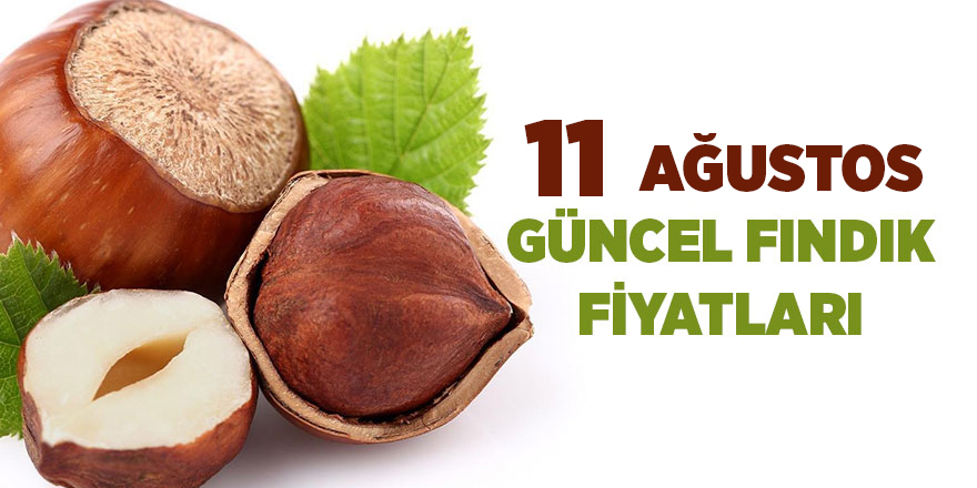 11 Ağustos güncel fındık fiyatları - samsun haber