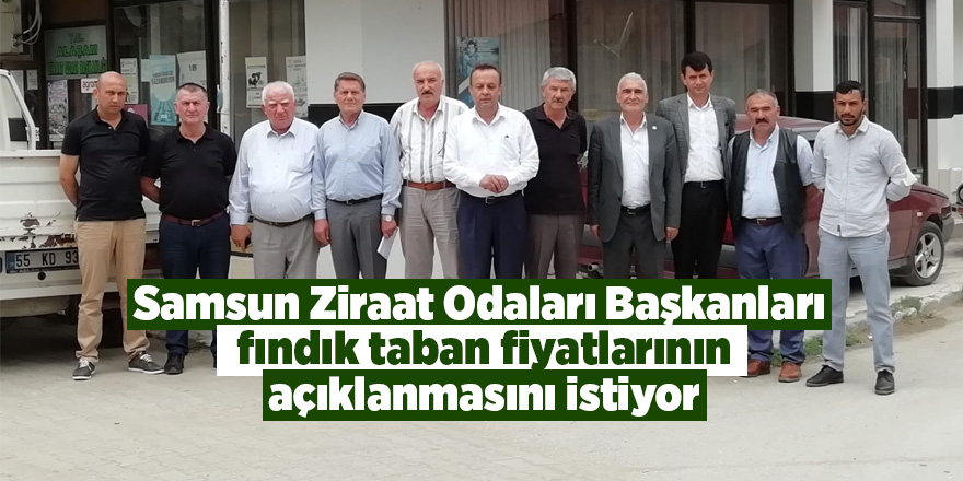 Samsun Ziraat Odaları Başkanları  fındık taban fiyatlarının açıklanmasını istiyor - samsun haber