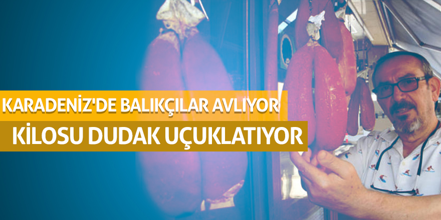 KARADENİZ'DE BALIKÇILAR AVLIYOR