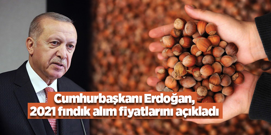 Cumhurbaşkanı Erdoğan, 2021 fındık alım fiyatlarını açıkladı - samsun haber