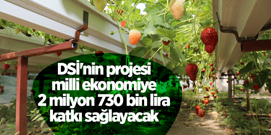 DSİ'nin projesi milli ekonomiye  2 milyon 730 bin lira katkı sağlayacak