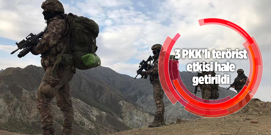 3 PKK’lı teröristin etkisi hale getirildi