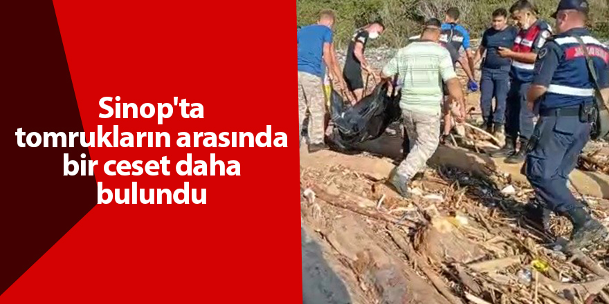 Sinop'ta tomrukların arasında bir ceset daha bulundu