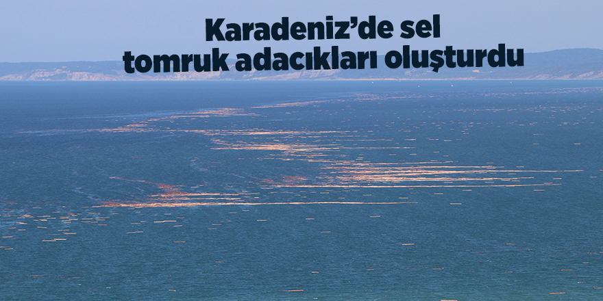 Karadeniz’de sel tomruk adacıkları oluşturdu