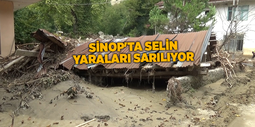 Sinop'ta selin yaraları sarılıyor