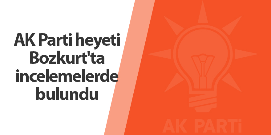 AK Parti heyeti Bozkurt'ta incelemelerde bulundu