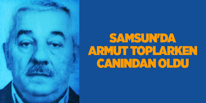 Samsun'da armut toplarken canından oldu - samsun haber