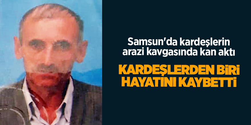 Samsun'da kardeşlerin arazi kavgasında kan aktı - samsun haber