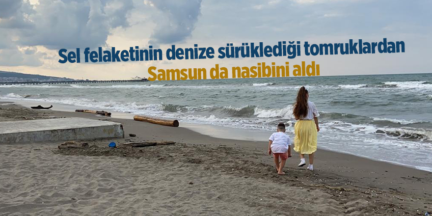 Sel felaketinin denize sürüklediği tomruklardan  Samsun da nasibini aldı - samsun haber