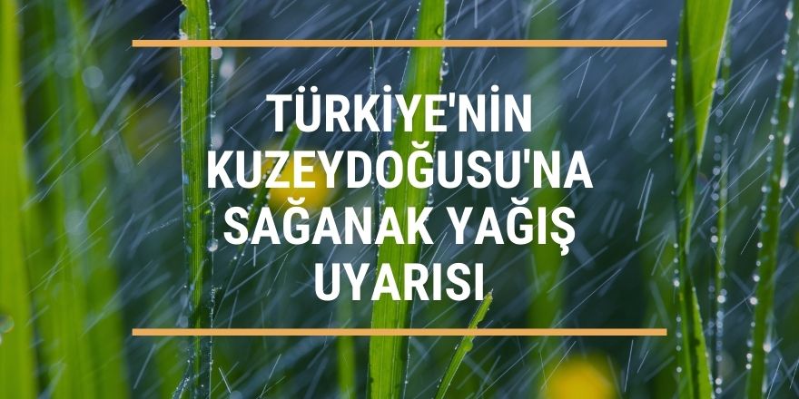 Türkiye'nin Kuzeydoğusu'na sağanak yağış uyarısı