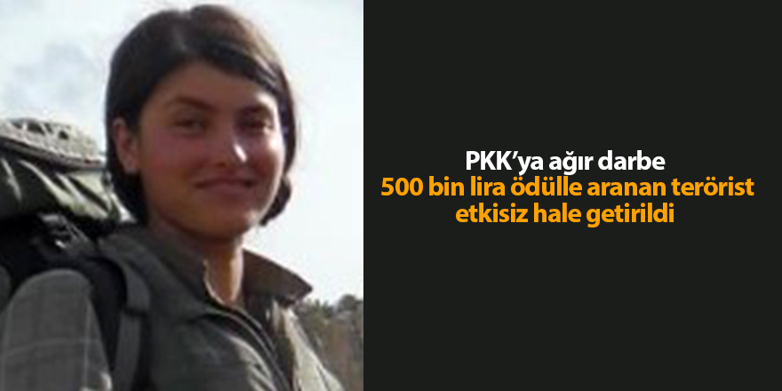 PKK’ya ağır darbe! 500 bin lira ödülle aranan terörist etkisiz hale getirildi