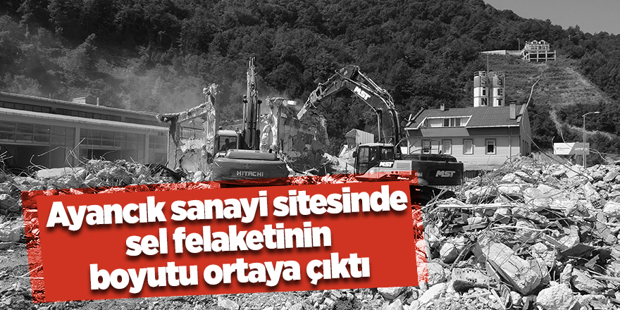 Ayancık sanayi sitesinde sel felaketinin  boyutu ortaya çıktı