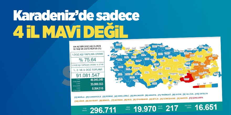 Karadeniz’de sadece 4 il mavi değil