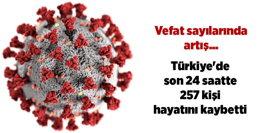 Türkiye'de son 24 saatte 257 kişi hayatını kaybetti