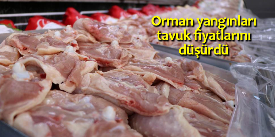 Mangal yasağı tavuk fiyatlarını düşürdü