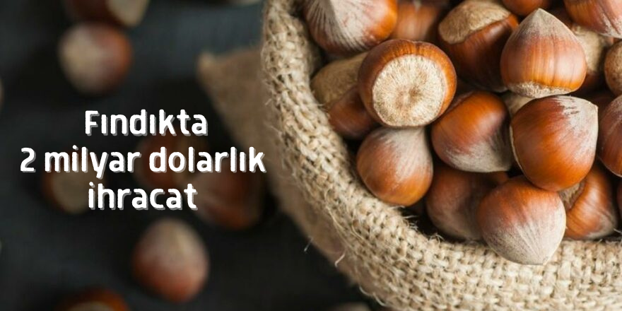 Fındıkta 2 milyar dolarlık ihracat