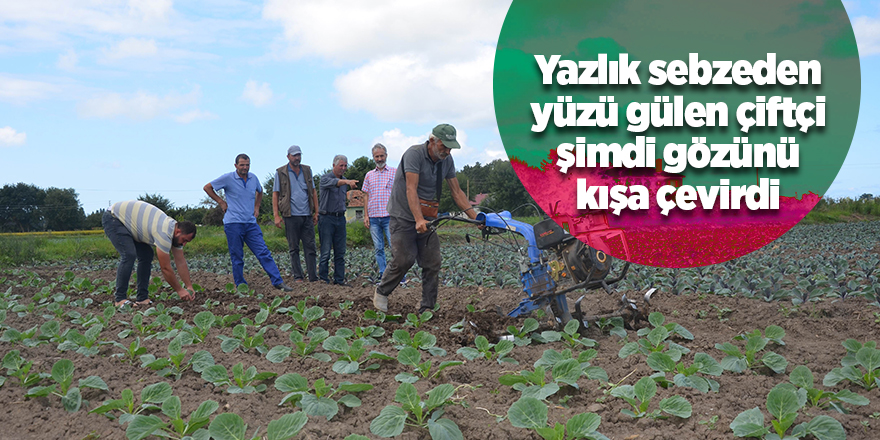 Yazlık sebzeden yüzü gülen çiftçi şimdi gözünü kışa çevirdi - samsun haber