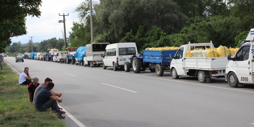 Fındık vermek için TMO önünde sıraya girdiler - samsun haber