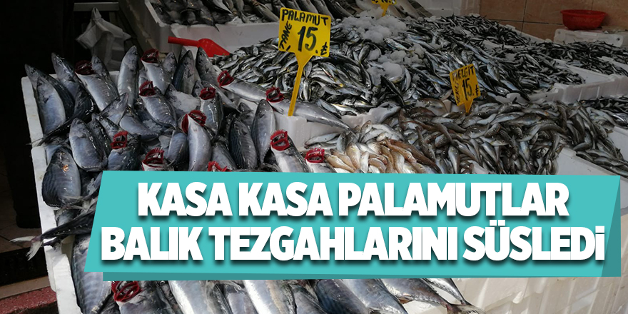 Kasa kasa palamutlar balık tezgahlarını süsledi