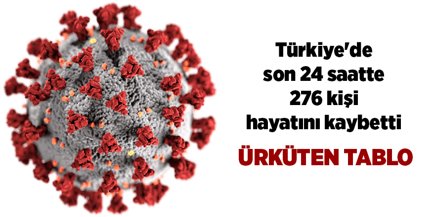 Türkiye'de son 24 saatte 276 kişi hayatını kaybetti