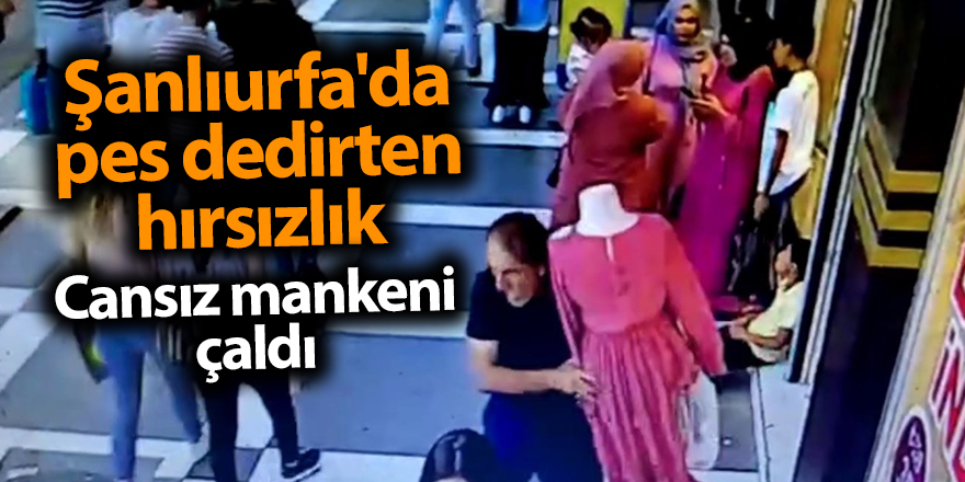 Şanlıurfa'da pes dedirten hırsızlık