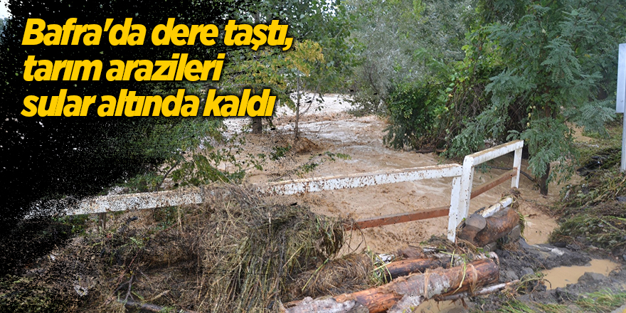 Bafra'da dere taştı, tarım arazileri sular altında kaldı - samsun haber