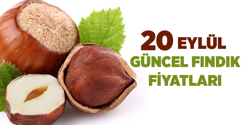 20 Eylül güncel fındık fiyatları