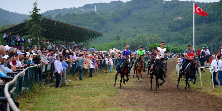 Ordu'da Rahvan At Yarışları Gerçekleşti