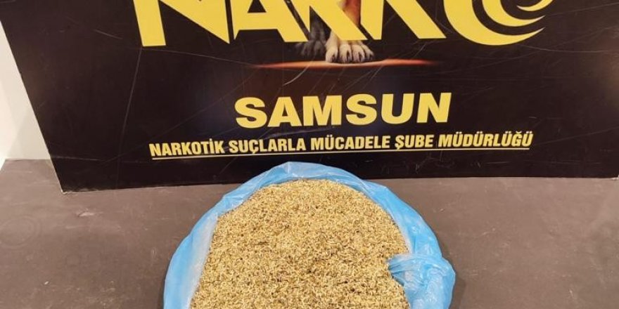 Samsun'da evinde 477,69 gram bonzai ele geçen bir kişiye gözaltı - samsun haber