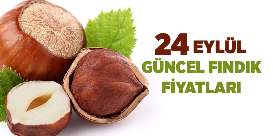 24 Eylül güncel fındık fiyatları