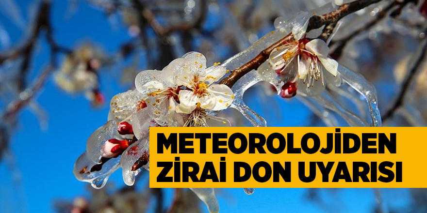 Meteorolojiden zirai don uyarısı