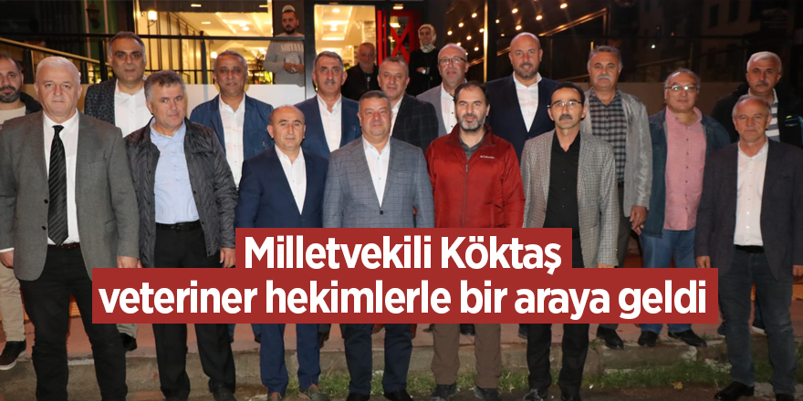 Milletvekili Köktaş, veteriner hekimlerle bir araya geldi