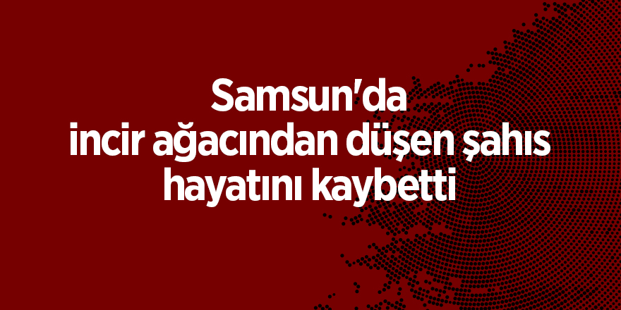 Samsun'da incir ağacından düşen şahıs hayatını kaybetti - samsun haber