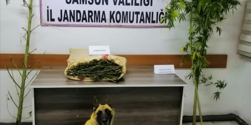 Samsun’da jandarma 2 kilo uyuşturucu madde ele geçirdi - samsun haber