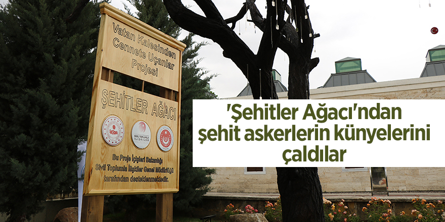 'Şehitler Ağacı'ndan şehit askerlerin künyelerini çaldılar