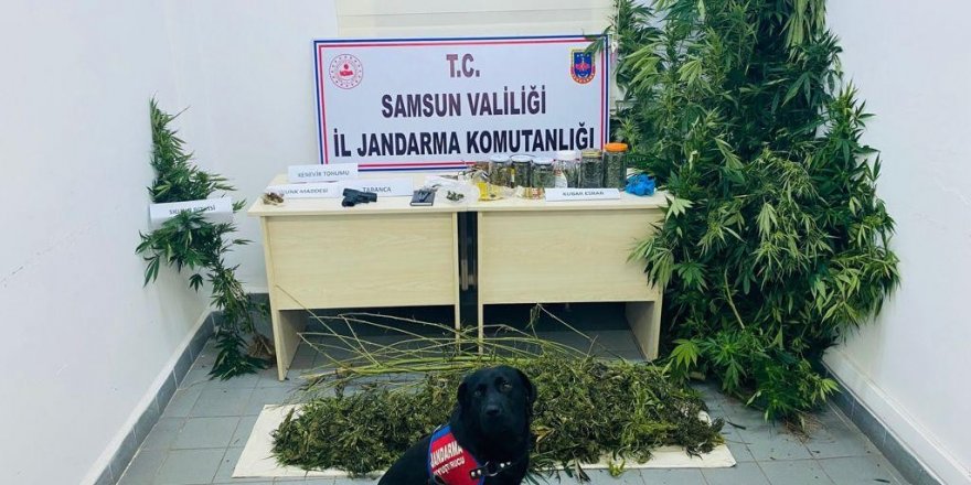 Samsun'da kubar esrarla yakalanan şahıs tutuklandı - samsun haber