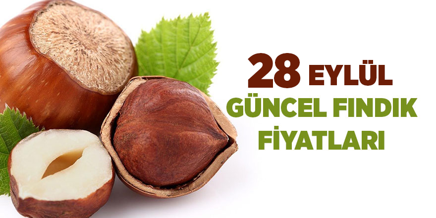 28 Eylül güncel fındık fiyatları