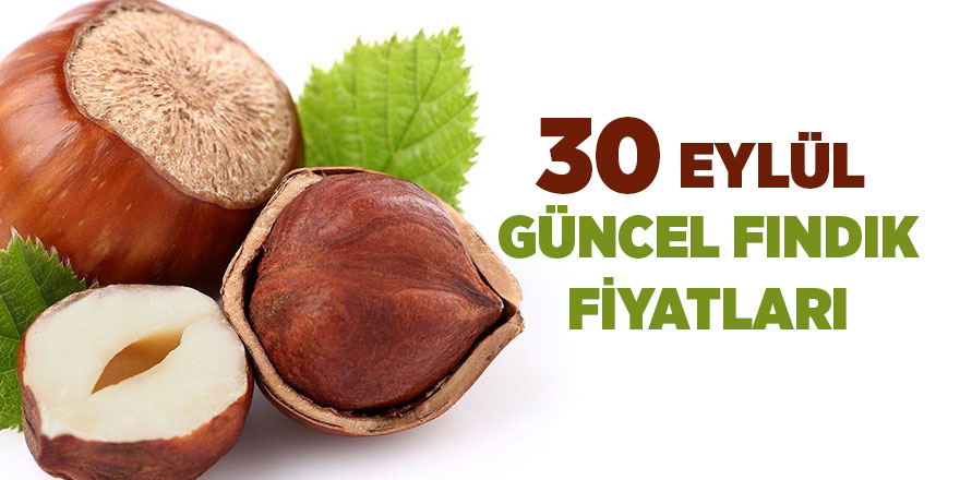 30 Eylül güncel fındık fiyatları