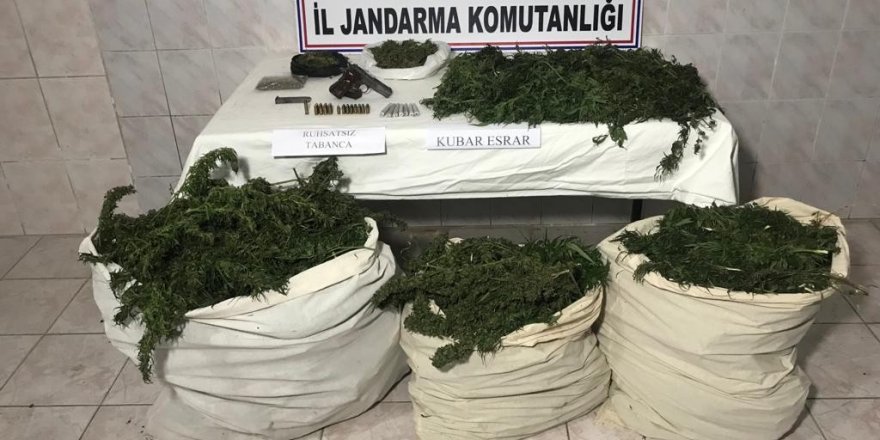 Jandarmadan zehir tacirlerine  göz açtırmadı - samsun haber