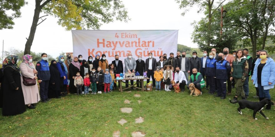 Canik'te hayvanlar unutulmadı - samsun haber