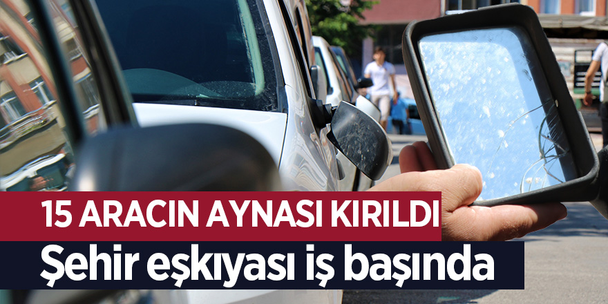 Şehir eşkıyası iş başında 