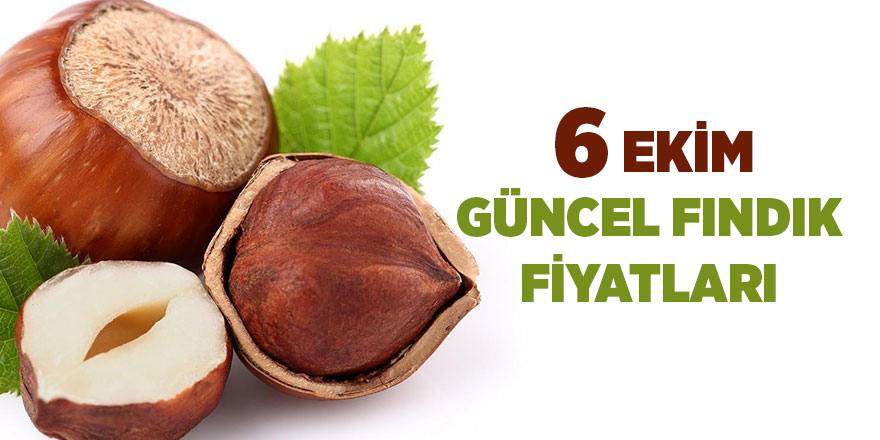 6 Ekim güncel fındık fiyatları