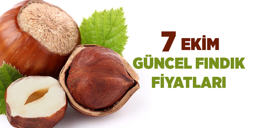 7 Ekim güncel fındık fiyatları