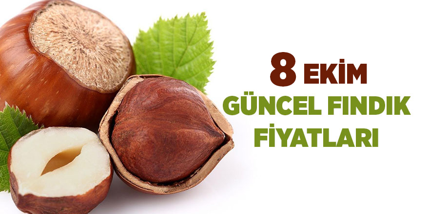 8 Ekim güncel fındık fiyatları