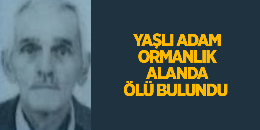 Yaşlı adam ormanlık alanda ölü bulundu - samsun haber