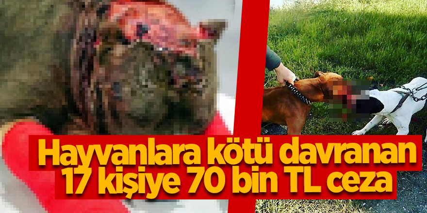 Hayvanlara kötü davranan 17 kişiye 70 bin TL ceza