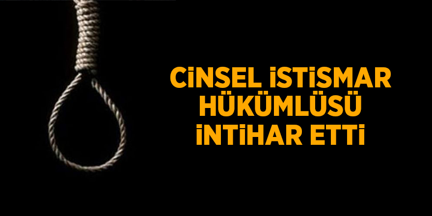 Cinsel istismar hükümlüsü intihar etti - samsun haber