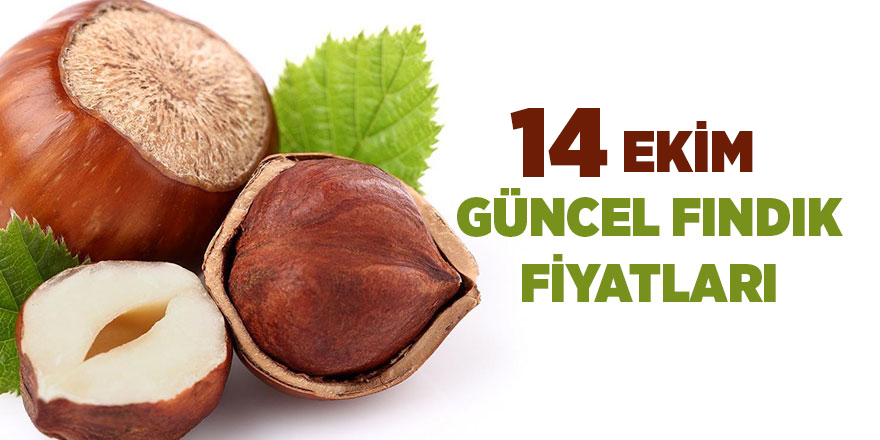 14 Ekim güncel fındık fiyatları