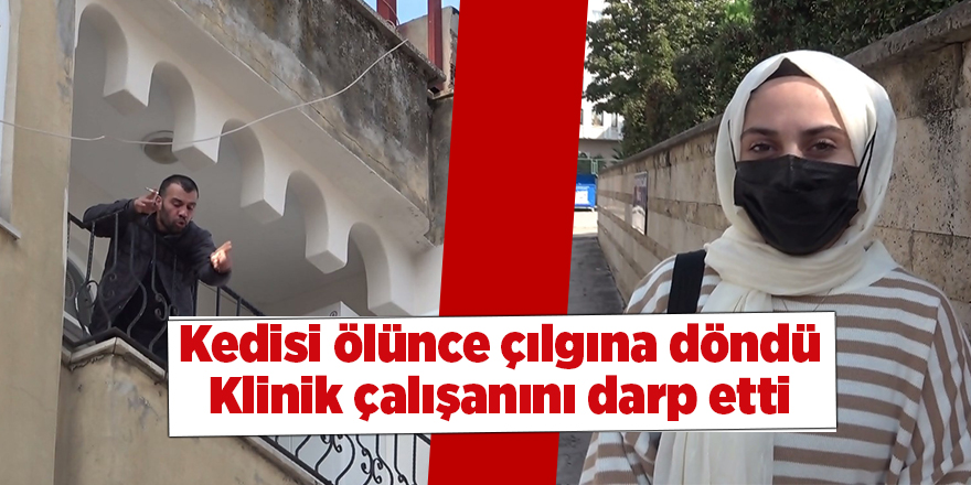 Kedisi ölünce çılgına döndü Klinik çalışanını darp etti