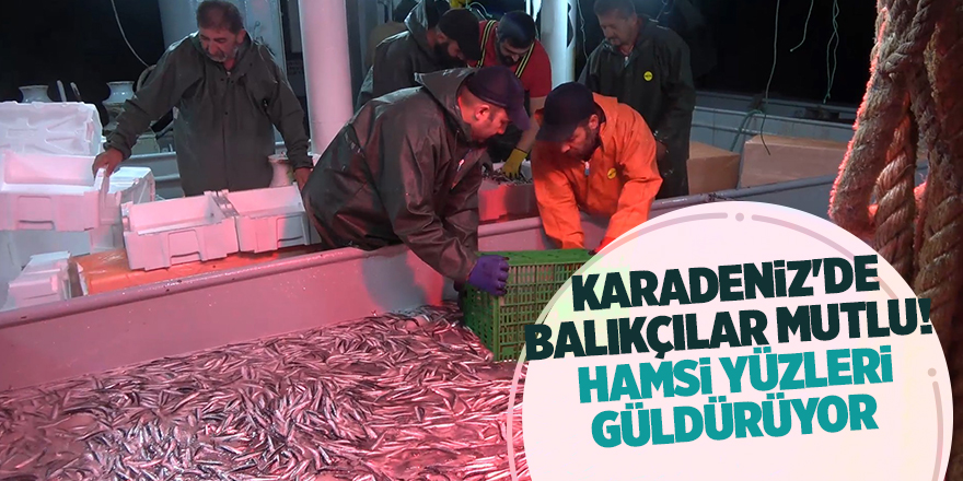 Karadeniz'de balıkçılar mutlu!  Hamsi yüzleri güldürüyor